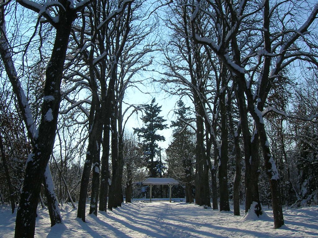 Chambre d'Hôtes La Varenne en hiver - Chaveignes (37)